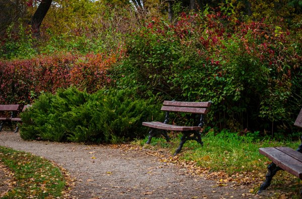 Découvrez les bienfaits des céréales complètes pour votre santé